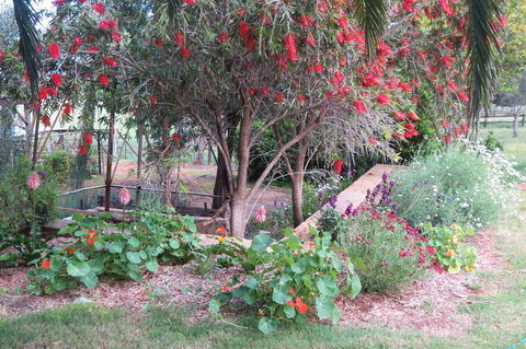 Bentwood Olive Grove Accommodation - DBD 21