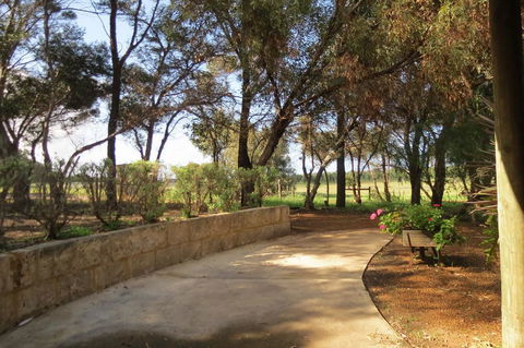 Bentwood Olive Grove Accommodation - DBD 2