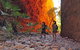 Bungle Bungle Wilderness Lodge - thumb 13