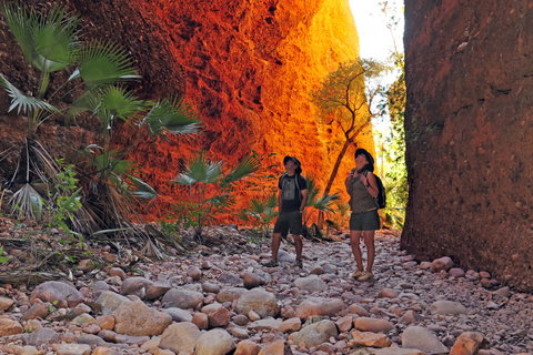Bungle Bungle Wilderness Lodge - Chiropractor Find 13