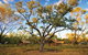 Bungle Bungle Wilderness Lodge - thumb 11