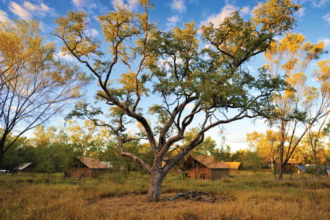 Bungle Bungle Wilderness Lodge - Chiropractor Find 11