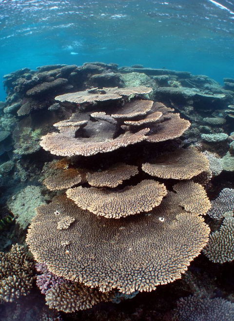 Ningaloo Coral Bay â€“ Bayview - Lawyer Find 6