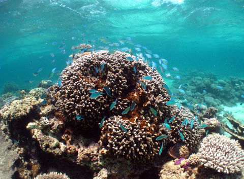 Ningaloo Coral Bay â€“ Bayview - Lawyer Find 2