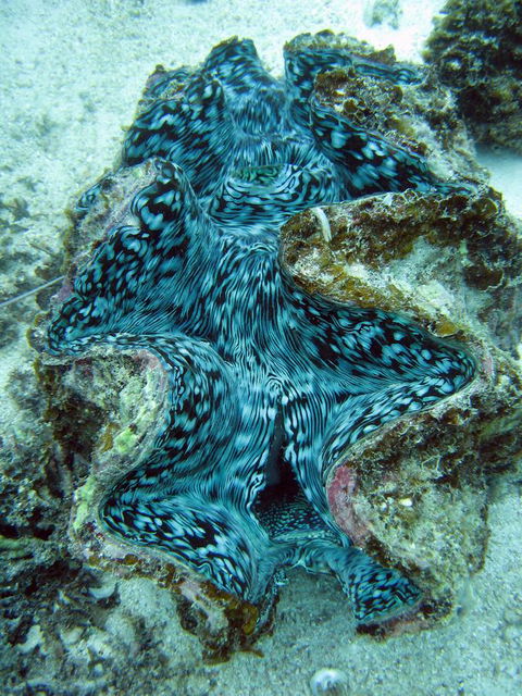 Ningaloo Coral Bay â€“ Bayview - Lawyer Find 5