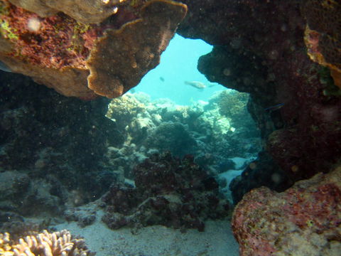 Ningaloo Coral Bay â€“ Bayview - Lawyer Find 4