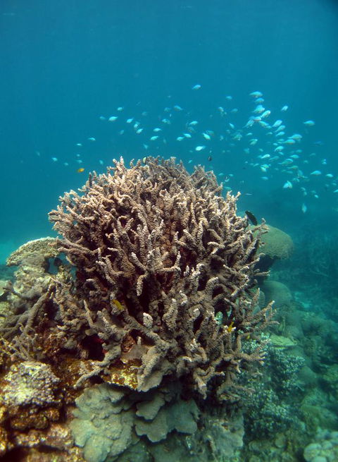 Ningaloo Coral Bay â€“ Bayview - Lawyer Find 7
