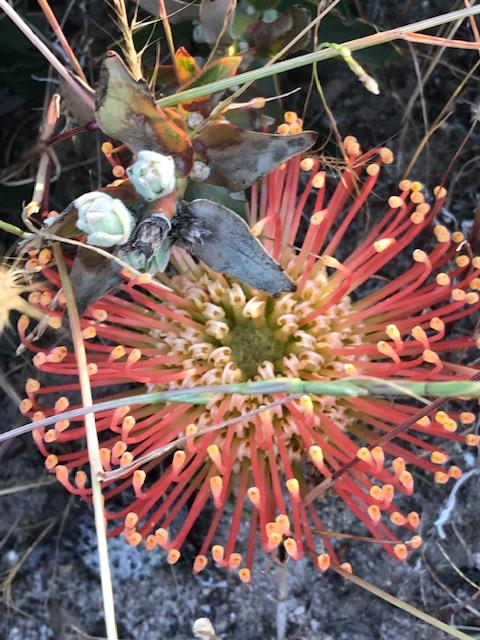 The Mains Guest House - Bet 4u 18