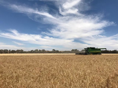 The Mains Guest House - Bet 4u 17