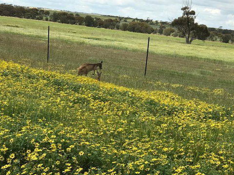 The Mains Guest House - Bet 4u 15