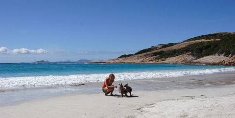 Esperance YHA - Lawyer Find 19