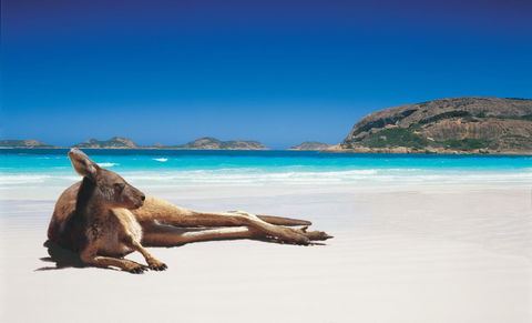 Esperance YHA - Lawyer Find 14
