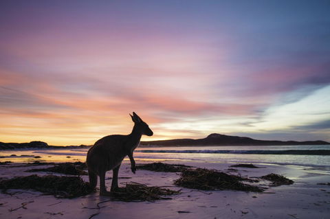 Esperance YHA - Lawyer Find 20