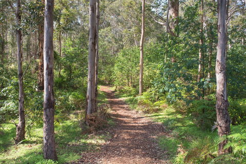 Tall Trees Margaret River - Bet 4u 4