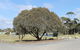 Bircoo Cottage Beach And Golf Getaway - thumb 12