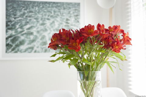 On The Beach Waterfront Apartment - Click Find 0