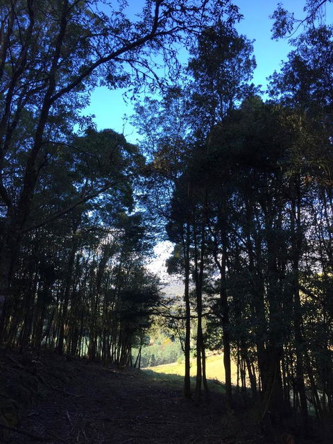 Manna Hill Farm - Click Find 27