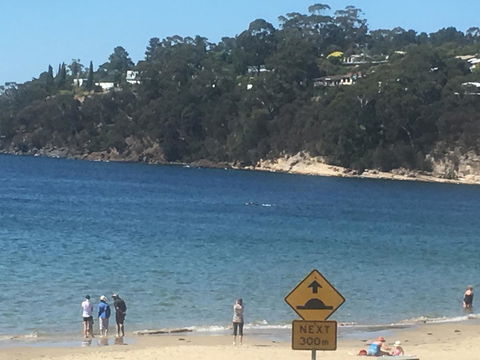 The Ultimate Beach House - Click Find 2