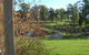 Platypus Park Country Retreat - thumb 10