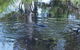 Platypus Park Country Retreat - thumb 33