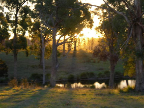 Platypus Park Country Retreat - Click Find 30