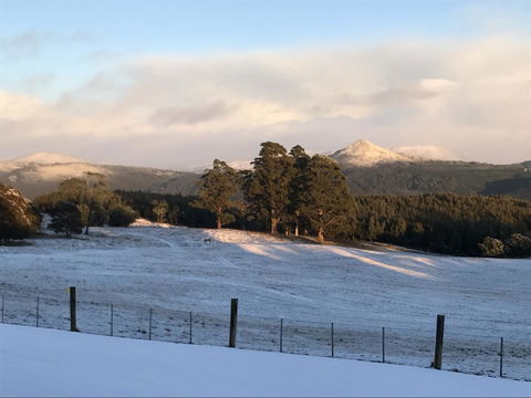 Highgrove - Click Find 26
