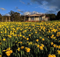 Mountain Blue Guest House - Click Find