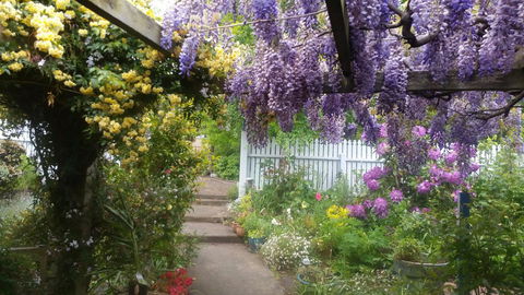 Birch Lane - Click Find 20