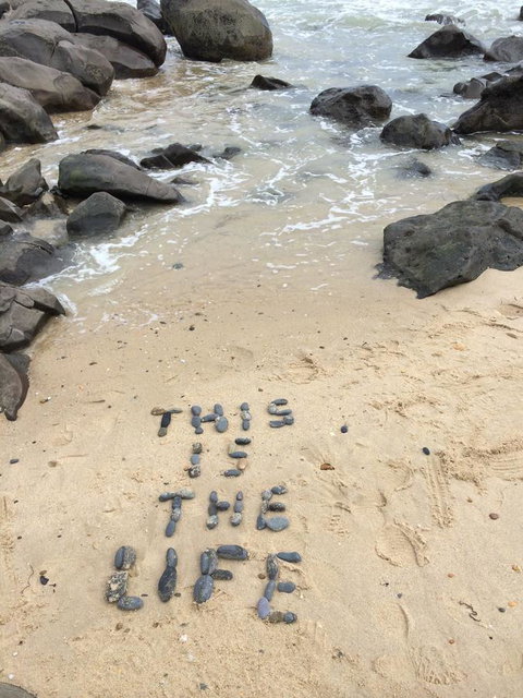 Seaspray - Bet 4u 16