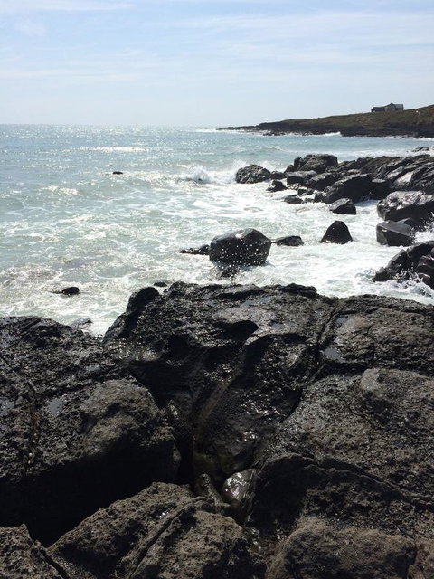 Seaspray - Bet 4u 20