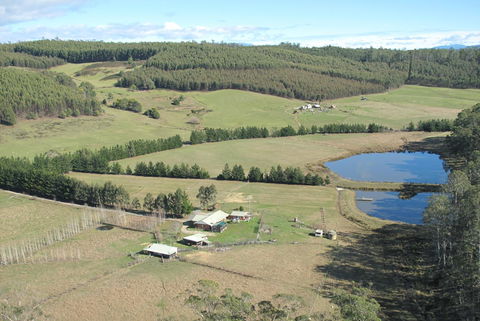 Quamby Pines Chalet - Click Find 7