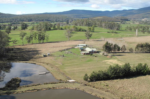 Quamby Pines Chalet - Click Find 9