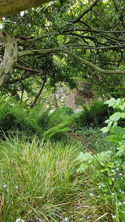 Whispering Hills Retreat - Click Find 15