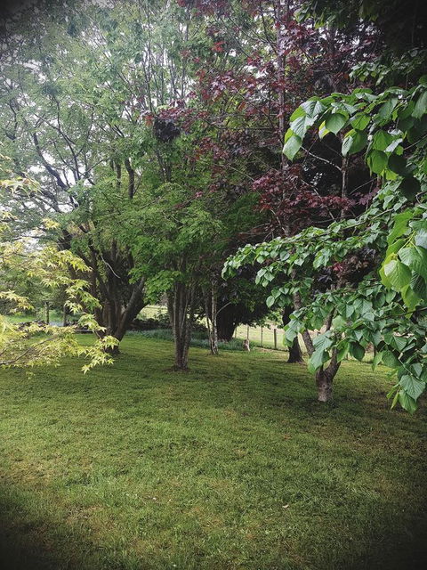 Whispering Hills Retreat - Click Find 14
