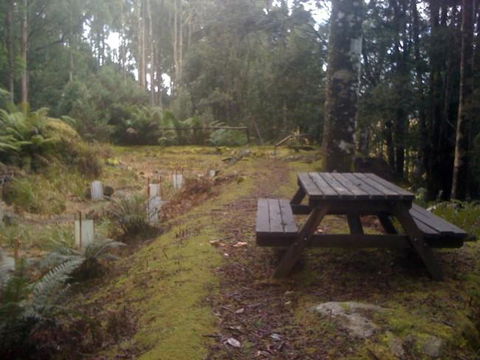 Sassafras Springs - DBD 9