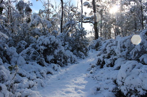 Cradle Mountain Hotel - Click Find 4