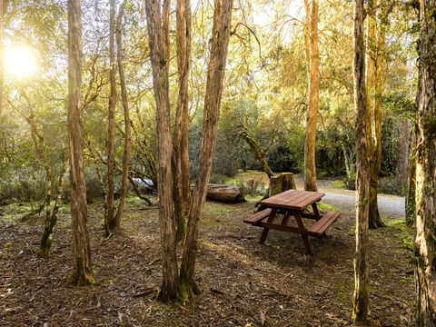 Discovery Parks â€“ Cradle Mountain - Click Find 19