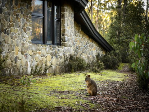 Discovery Parks â€“ Cradle Mountain - Click Find 22