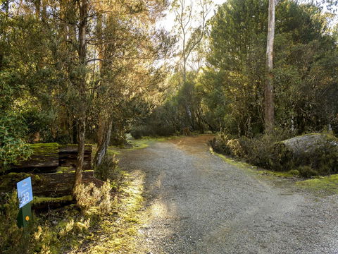 Discovery Parks â€“ Cradle Mountain - Click Find 1