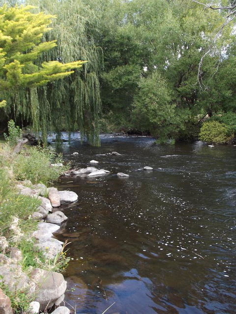 Blue Wren Riverside Cottage - Click Find 7