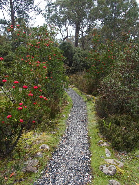 Cradle Mountain Highlanders - Click Find 6