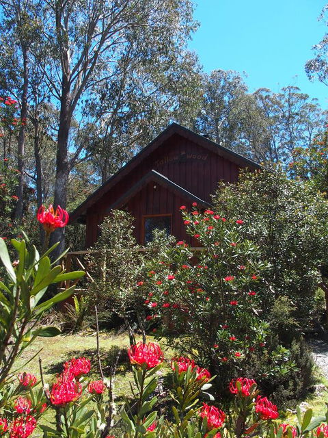 Cradle Mountain Highlanders - Click Find 0