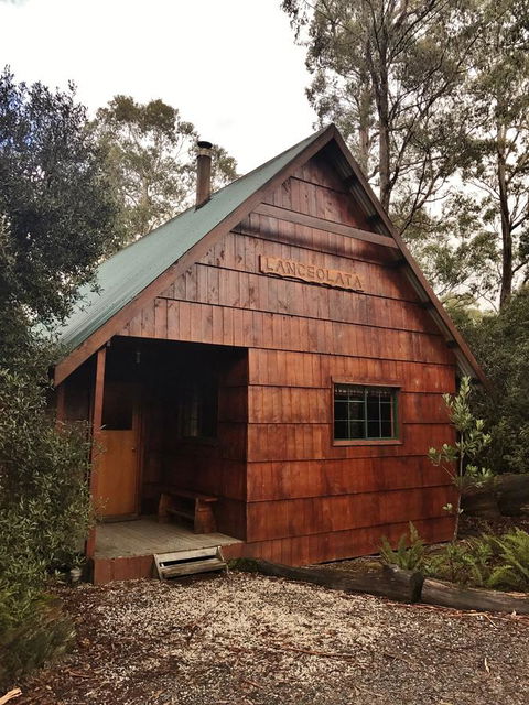 Cradle Mountain Highlanders - Click Find 3