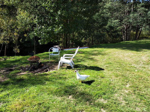 Wanderlust Cottage - Bridge Guide 18