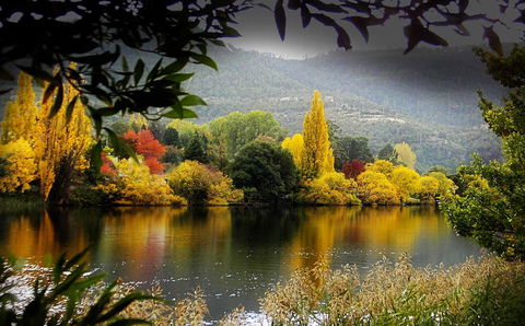 Platypus Playground Riverside Cottage - Click Find 15