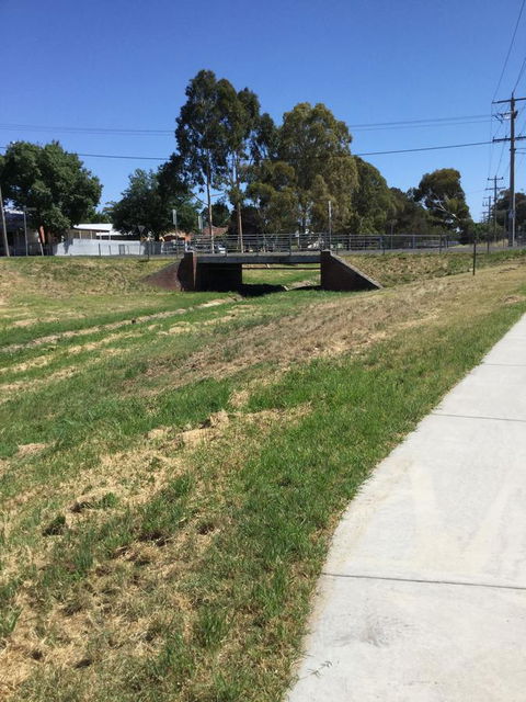 Flora Hill Creek Views - Bridge Guide 19