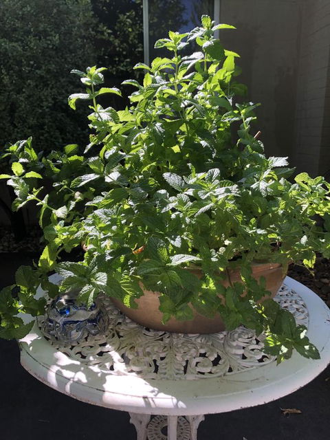 Flora Hill Creek Views - Bridge Guide 11