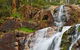Marysville Caravan And Holiday Park - thumb 37
