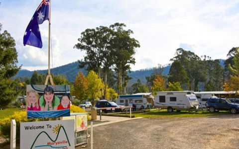Marysville Caravan And Holiday Park - Bet 4u 34