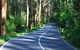 Marysville Caravan And Holiday Park - thumb 40